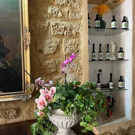 Maison d'hôtes Atrium Experience 4*