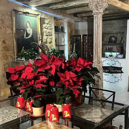 招待所 Atrium Experience 4*